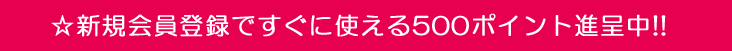 新規会員登録で500ポイント進呈